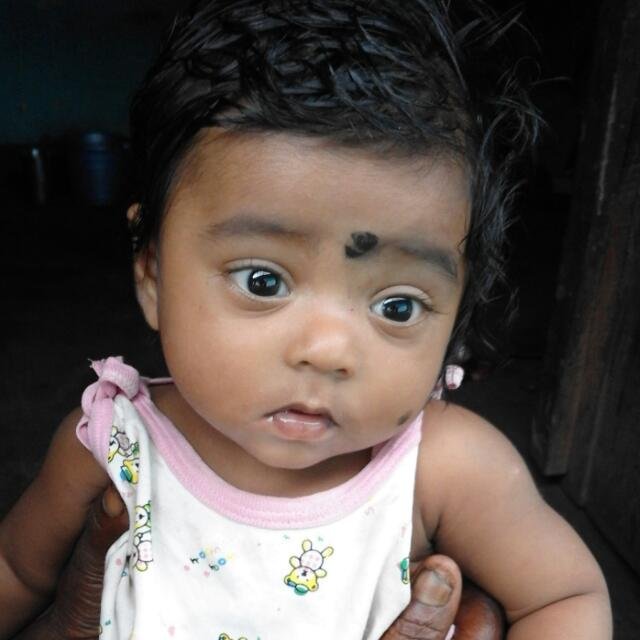 Travel Buddy in Mandsaur - Ananya Mandsaur